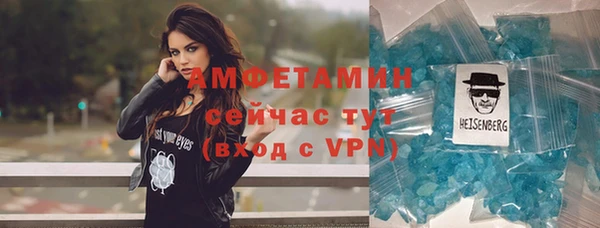 гидра Костерёво