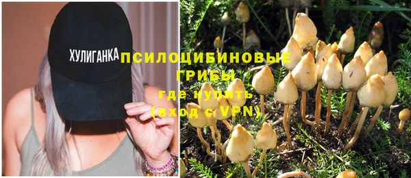 гидра Костерёво