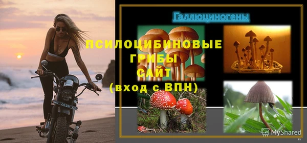 а пвп мука Козельск